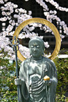 
Zen and Sakura

半面林花掩古寺, 枯圆慢步听碎石.春荫渐淡山色晚,禅门犹开人归迟.达摩一苇大道启,鉴真十载东瀛事.而今唐风早不复,空留顽儿争假史.