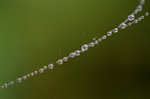 05520035