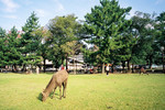 100uc_023