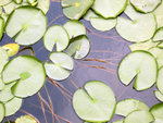 IMG_5459_s
