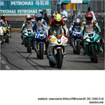 20081214_40D1b_087761_Paddock