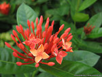 20091018_IMG_0077(800x600)