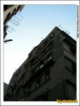 20040926_PICT8186(528x704)