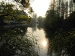 IMG_3410
