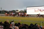 DSC00697