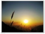 IMG_4939