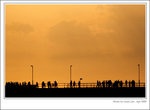 TO-200904-19