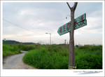 Green-44