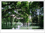 f80-072008-28