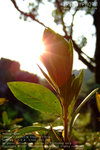 DSCF1623