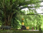 �b�t�u�x(Pura Tirta Empul)���@��,�j�Ѫ��j��]�H�̪��ߦ��ܱo���F��