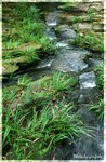 Image15