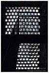 A20250021