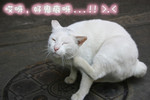 �u�r,�n�����r...!! >.<
