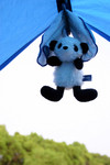 morning, mr.panda! ^o^