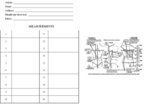 



Measurement bar for men's item(s)