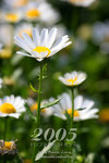 20D_IMG_001687