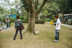 20050108_MYPET_001