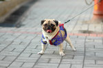 2005_Anson_Home_01