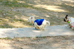 20051211 _134431