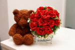 �ڪ��Ĥ@�Ӫ�y (����, ����)