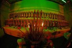_DSC0042