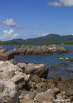 DSCN0282_s61