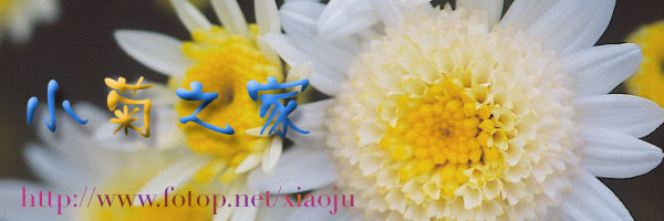 http://images4.fotop.net/albums/xiaoju/use/banner01.jpg