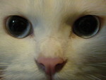 DSCN4413