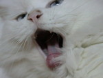 DSCN4742