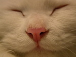 DSCN3420