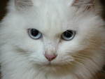 DSCN4628