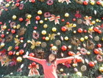 DSC02900