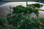 12052012_Hong Kong Science and Technology Park Snapshots00002