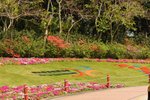 13032011_Tai Po Waterfront Park00008