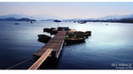 IMG_875g9 copy