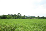 DPP_0010