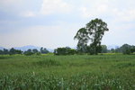 DPP_0014