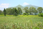 DPP_0018