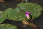 DSCF1053
