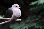 NIK_3774(1)