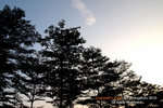 PA022232s