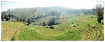 batch_DSC_0390
