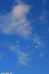 IMG_0029ab