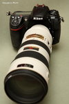 IMG_1334ab