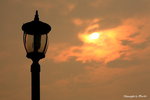 IMG_0509ab