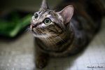 IMG_5518ab