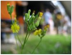 IMG_3596