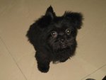 BILLY
