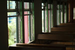 IMG_5446A